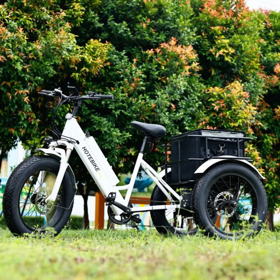 350w 500w electric cargo bike 250w 20inch high speed electric trike 25kmh tricycle electric europe