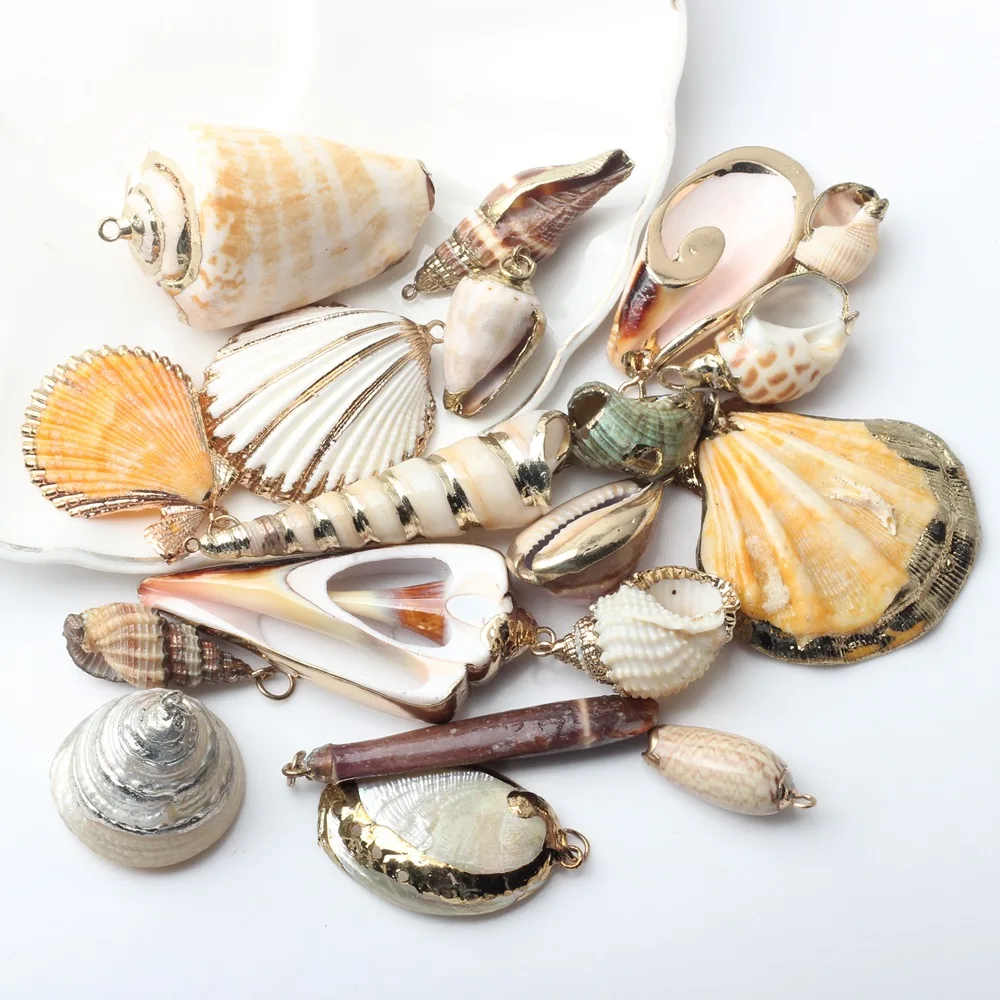 Hot Natural Sea Cowrie Seashells Charm Wrapped Conch Shells Plated Pendants Summer Ocean Sea Charm for Jewelry Making