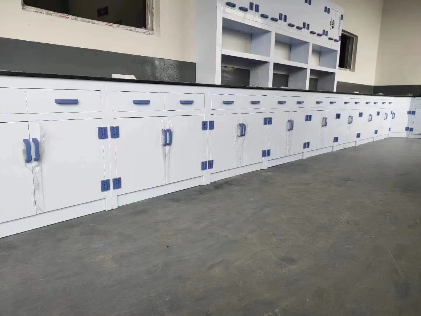 PP Chemistry Laboratory Fume Hood Lab Equipment price