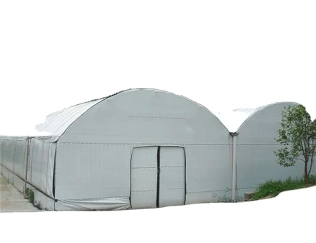 Sainpoly Fully Automated Greenhouse Light Deprivation Agricultural Greenhouse Galvanized Steel Frame Plant Mushroom Cultivation