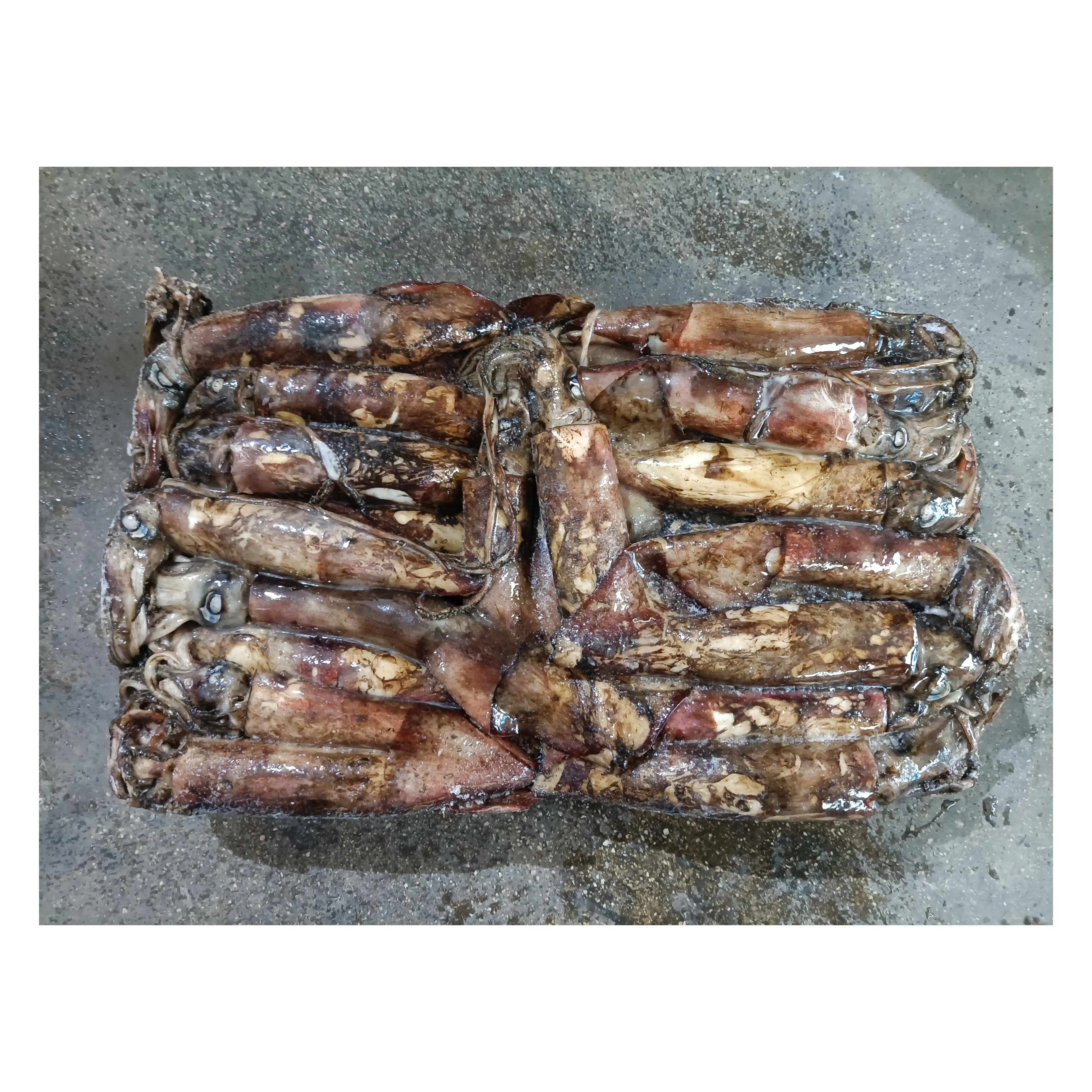 Замороженный индийский Океанский кальмар XINGBANG, 100-300 г