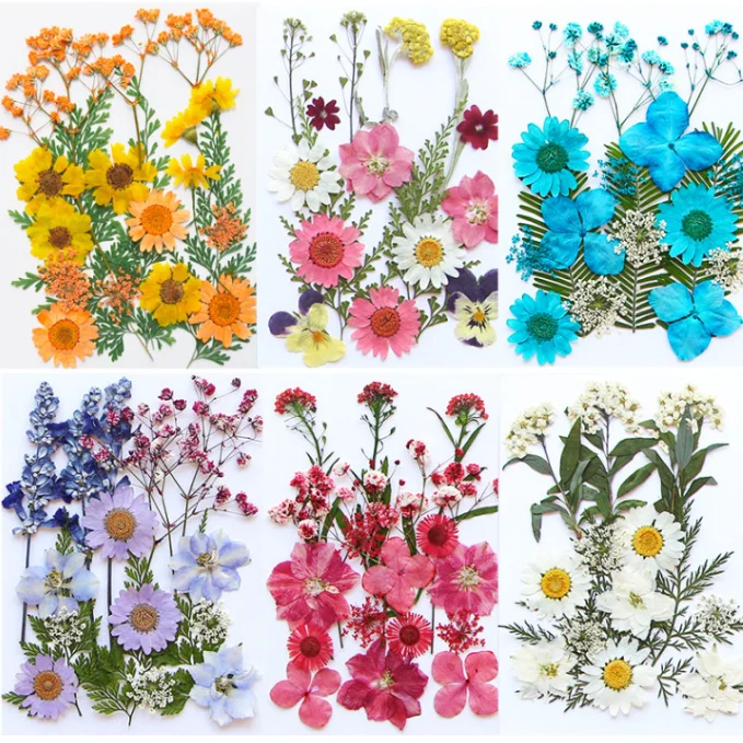 Hot Sale DIY Art Crafts Various Dried Pressed Flower Kits for Scrapbooking Epoxy Resin Jewelry Molds Candle Soap Making