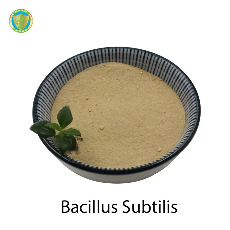 Оптовая продажа добавка для biofloc 10B CFU/g пробиотики Bacillus Subtilis лечения