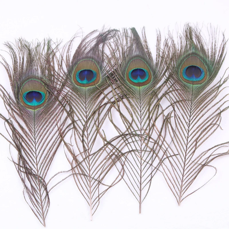 1Bag/50Pcs 25-30cm Length Natural Green Peacock Feather Decoation For