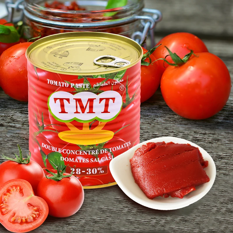 210g 400g 800g TMT Brand Tomato Sauce in Canned Paste With 18-20% 22-24% 28-30%