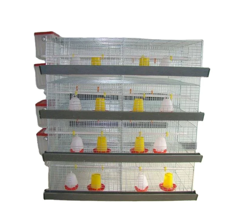 Chicken Project Bird Cage Export,Chicken Layer  Cage Hen house Hen Layer cage