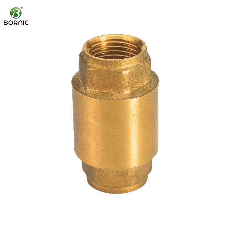 DN8 DN10 DN15 DN20 DN25 DN80 для воды общего применения OEM настраиваемый обратный клапан