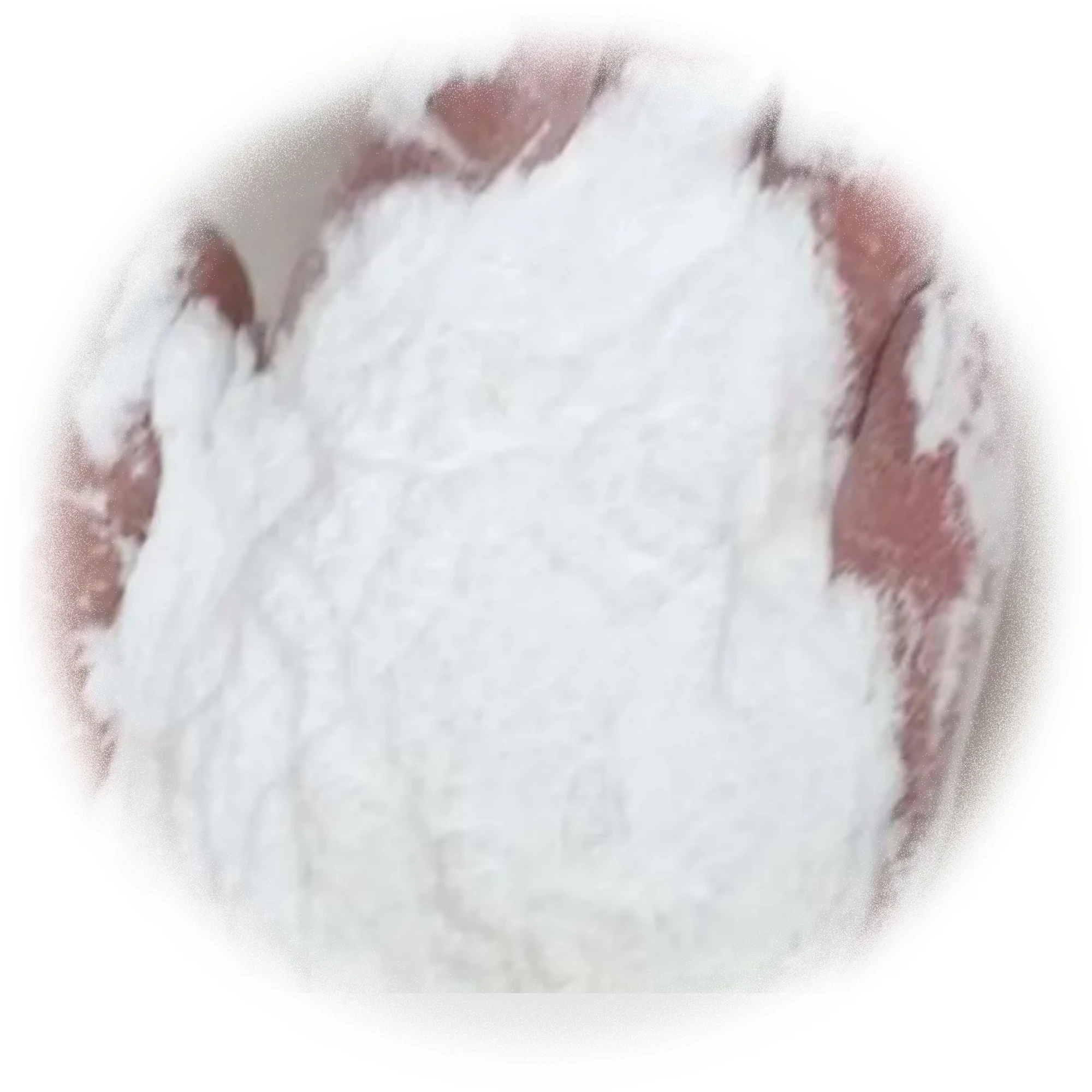 Manufacturer supplied Taiwan Changchun polyvinyl alcohol PVA BP24