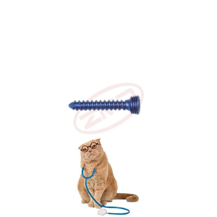 ZMD Titanium Orthopedic Veterinary Instruments AO Self-Tapping Locking Screw for Bone Surgical Procedures