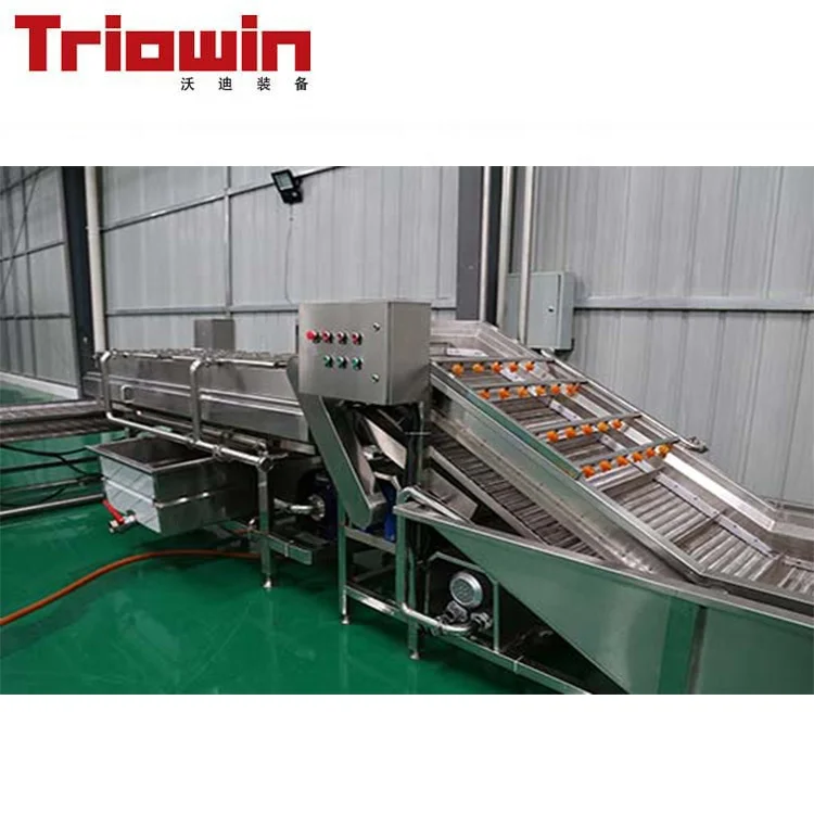 
Complete ginger garlic paste making processing machine plant 