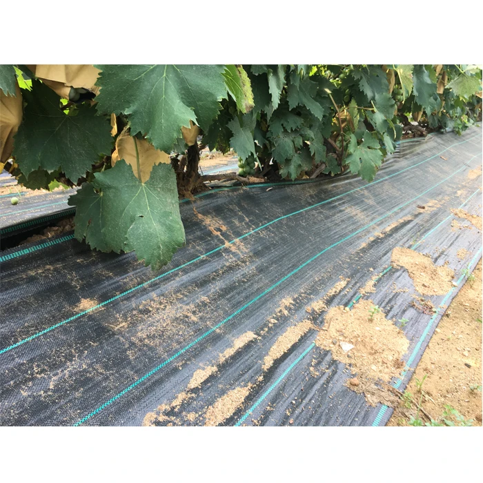 New Material Agricultural Ground Cover/Weeding Cloth/Weed Control Mat