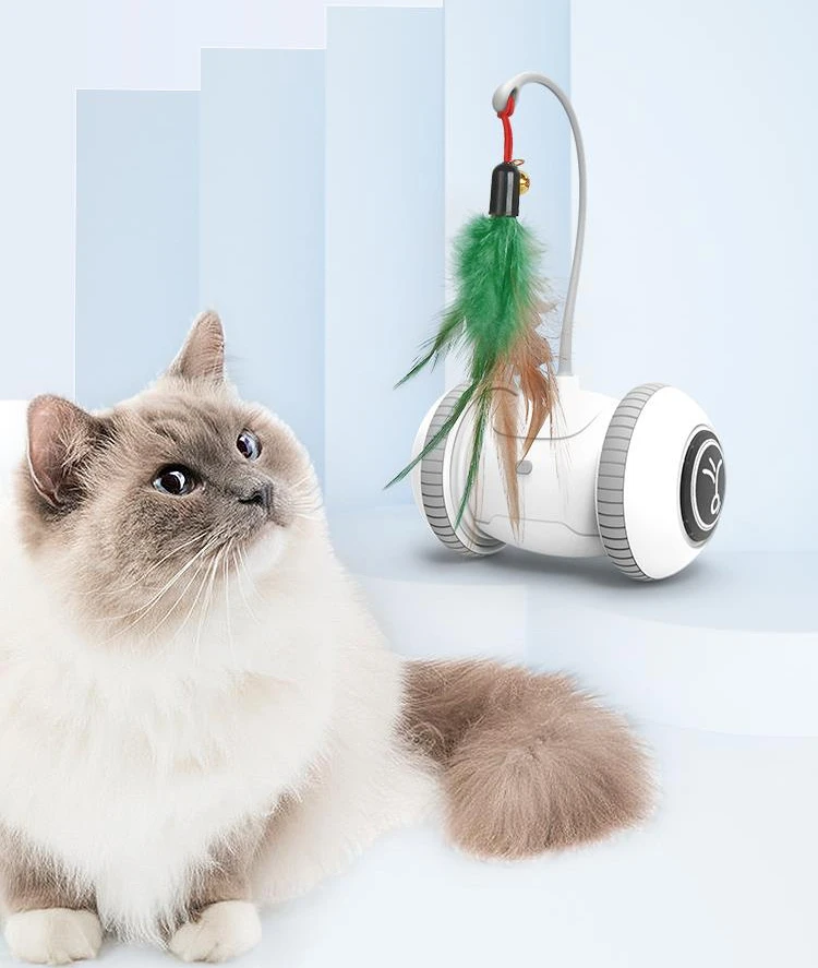 cat plush toys automatic mouse toy for cats and dogs indoor interactive feather dragonfly led ball paw cheerble baby