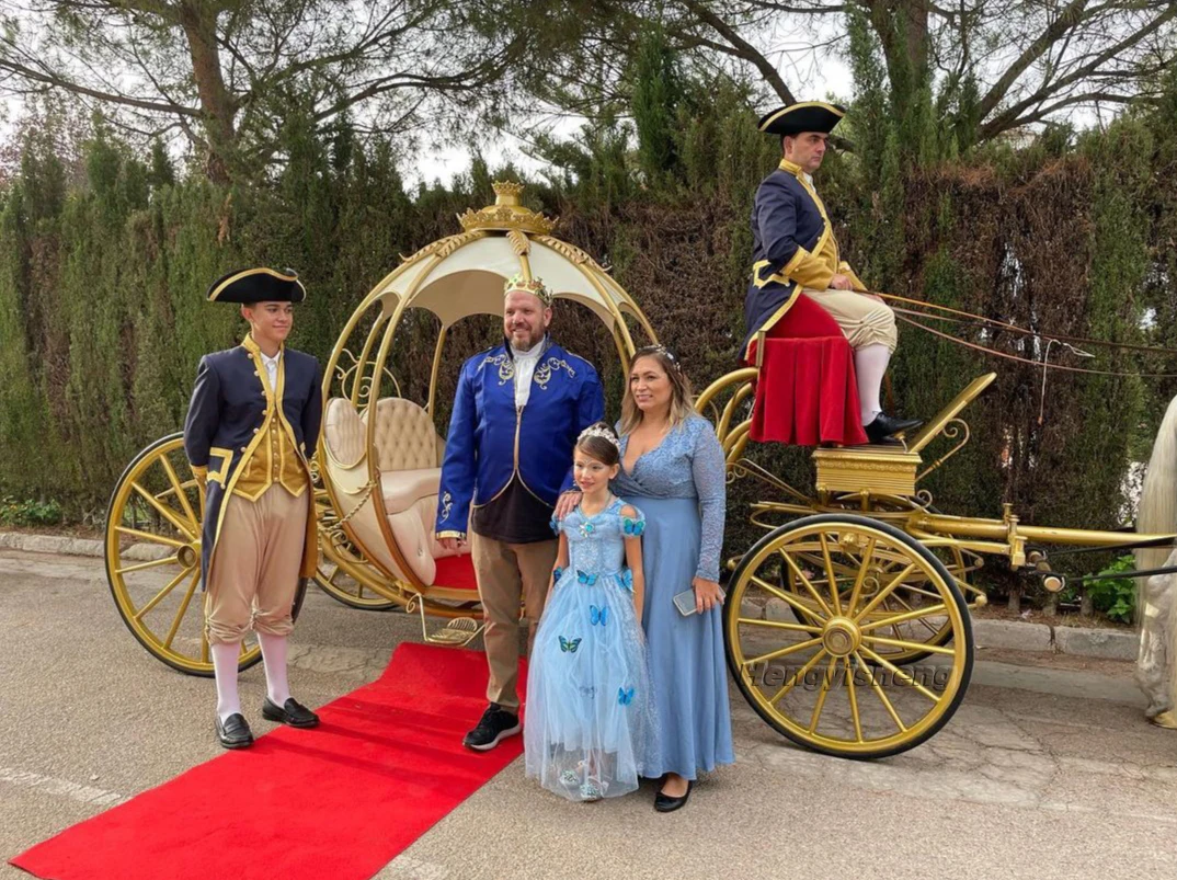 Princess Luxury Pumpkin Wedding Carriage Romantic Stylish Electric Horse Carriage Made of Steel Factory Price