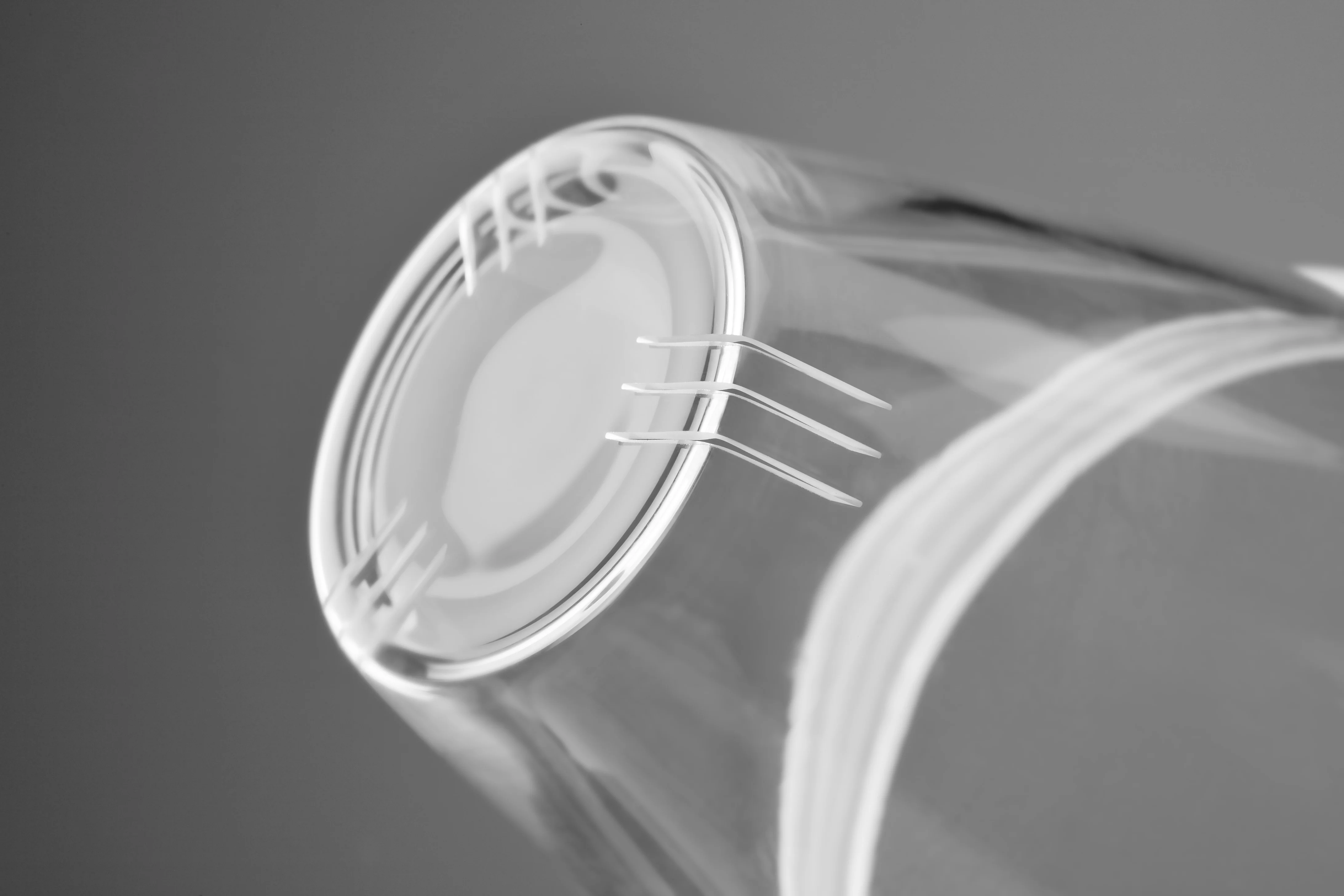 Samadoyo Clear Glass Mug With Glass Infuser and Stainless Steel Lid for Loose Tea