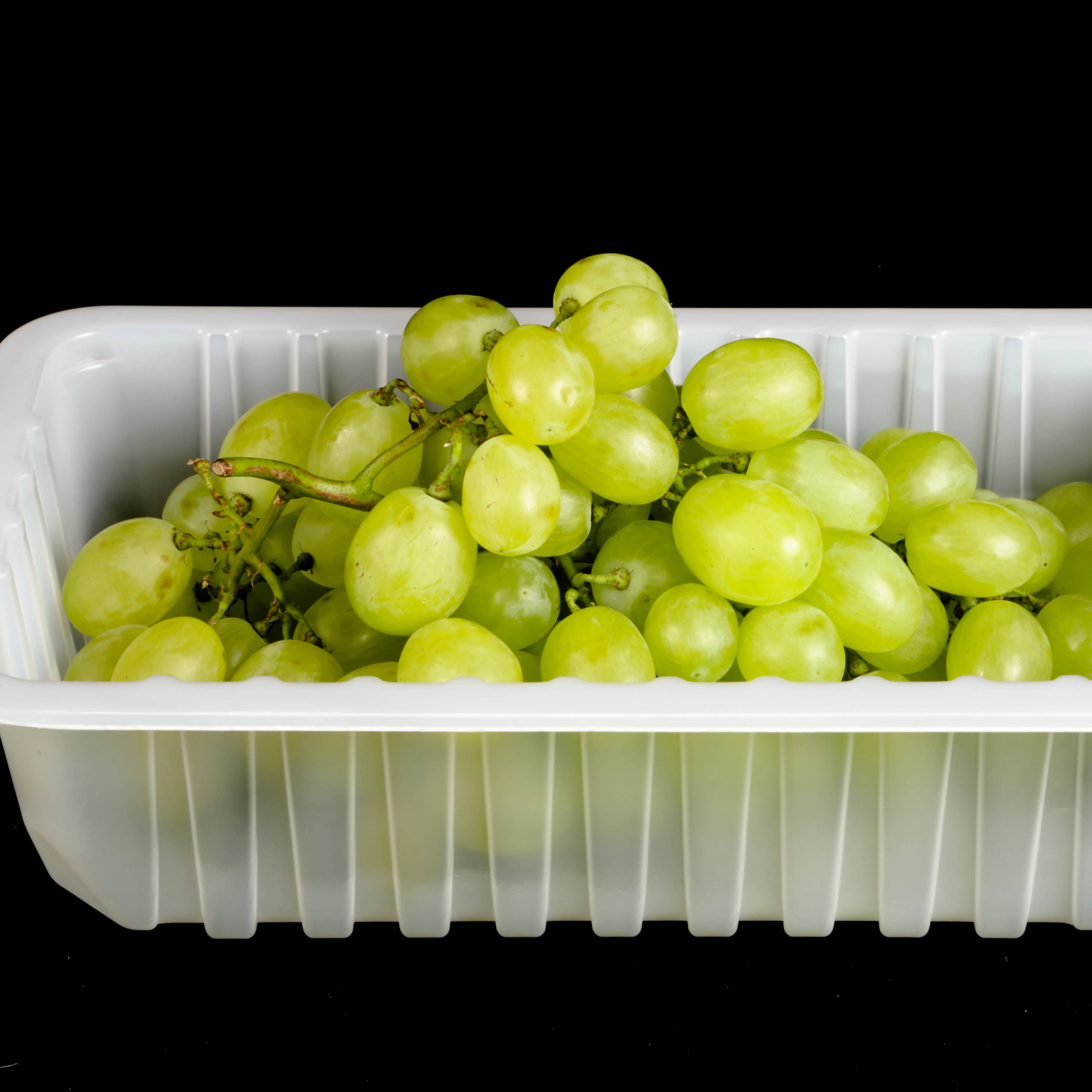 Custom Disposable Frozen Food Tray Plastic PET Fruit Vegetable Container Packaging Boxes For Shop