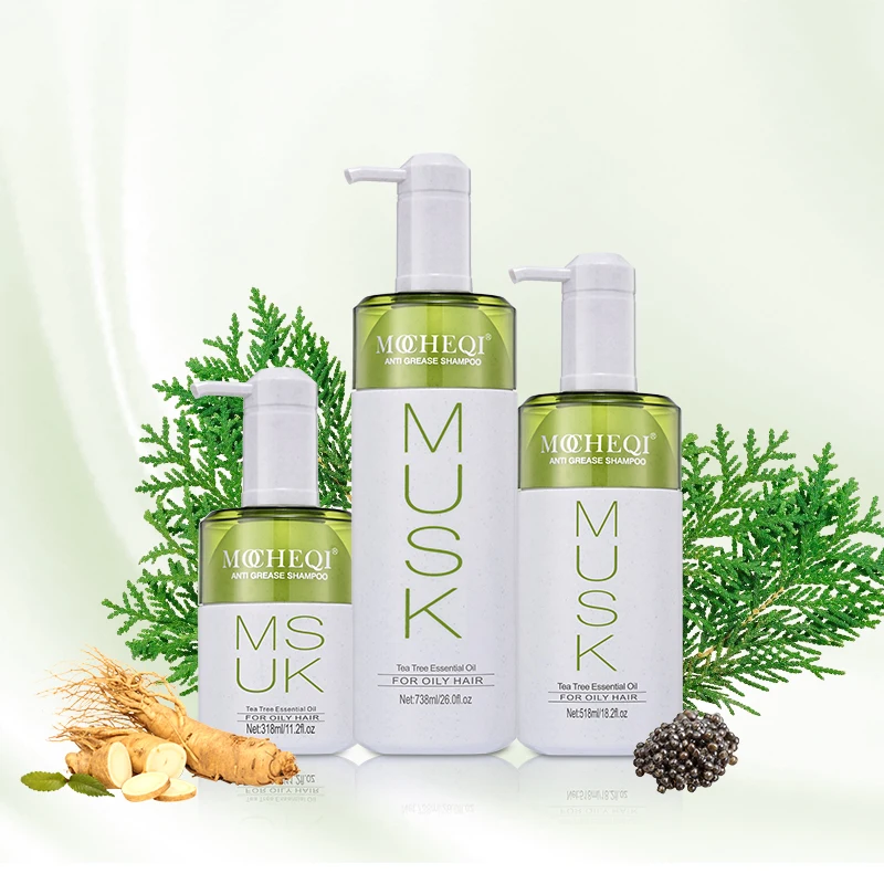 MOCHEQI Wholesale Natural Organic Vegan Hair Care Products OEM Custom Biotin Platycladus orientalis Hair Shampoo And Conditioner