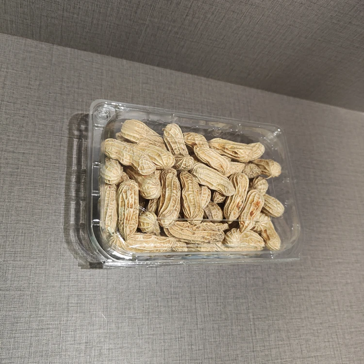 Disposable Clamshell Packaging Peanut Fruits Clear PET Plastic Box Blister Clamshell Container