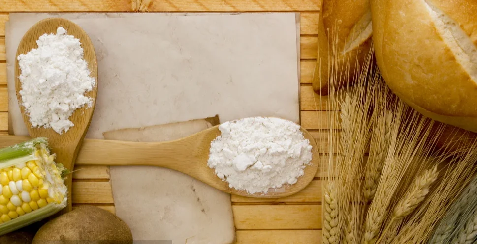 2022 Hot Sale Corn Fiber Biodegradable Fabric PLA organic Recycled Fabric