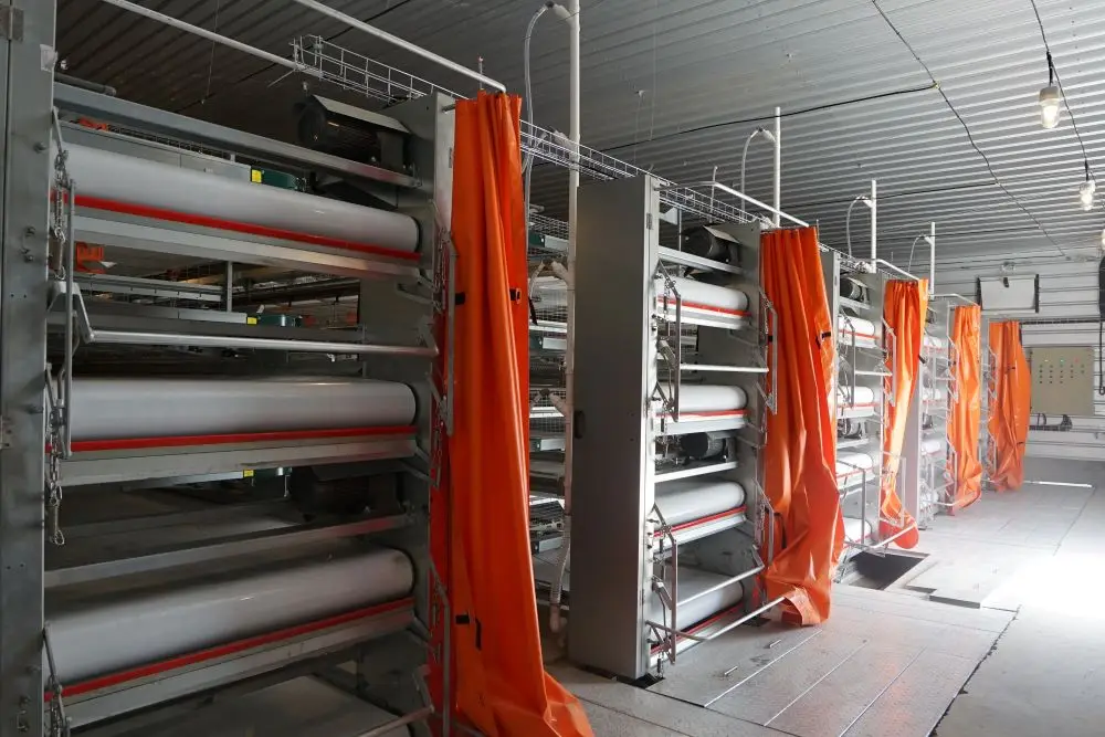 Automatic Poultry Cage Layer Poultry Farm  Automatic Battery Cage Automatic Poultry Layer  Equipment Jaula De Gallina Ponedora