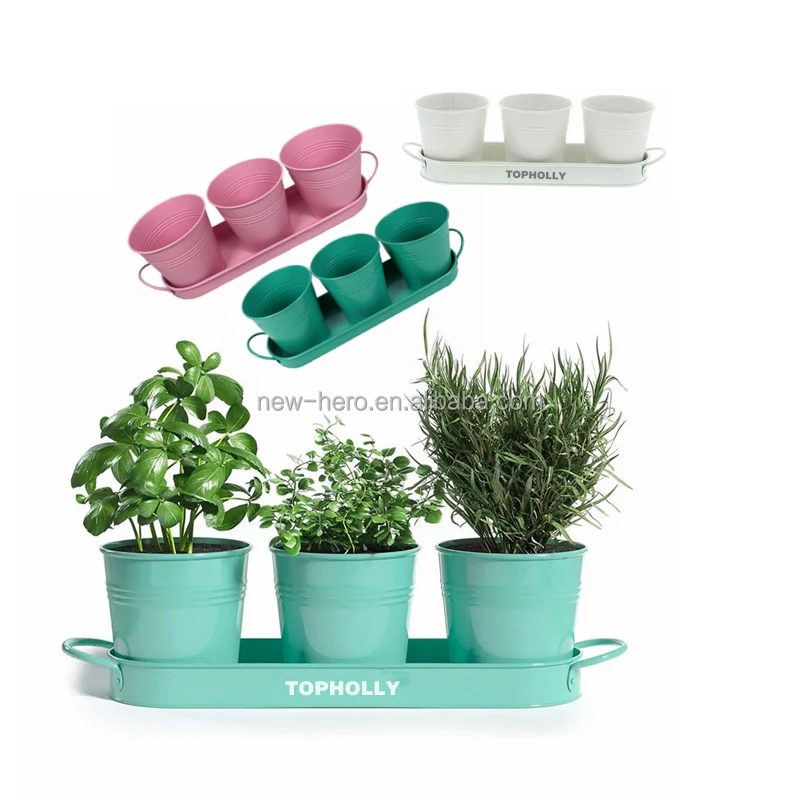 PREMIUM GARDEN Herbal Planter Pots Three Piece Set With Tray Blue Sponge Color Galvanized Iron Flower Bucket Cute Mini HERB POTS