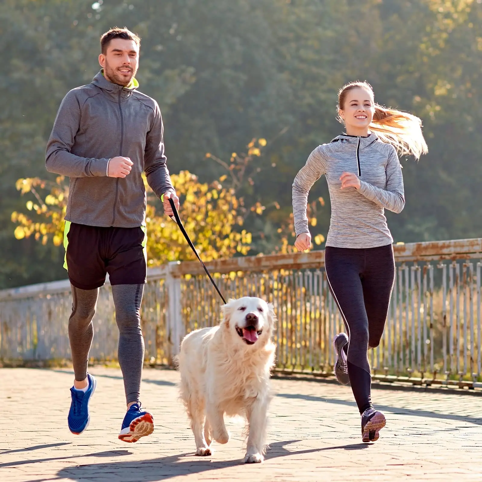 5 Feet Nylon Dog Leash with Triple Reflective Threads and Comfortable Padded Handle for Walking