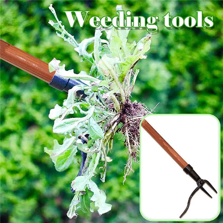 Factory Top Seller Long Bamboo Handle 4-Claw Steel Head Design Weed Removing Tool Stand Up Weed Puller