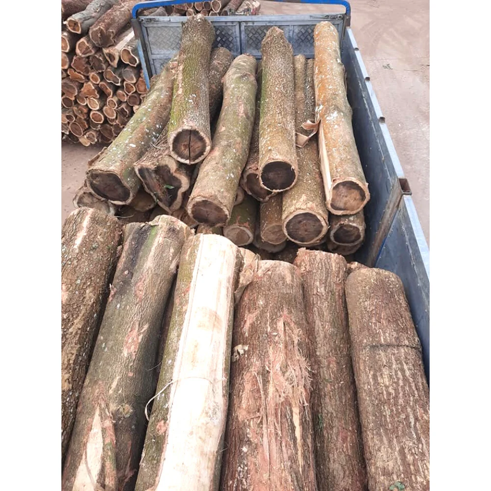 Лидер продаж дешевые деревянные бревна акации для импортеров из Вьетнама