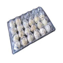 Plastic blister biodegrade food packaging tray quail egg cartons