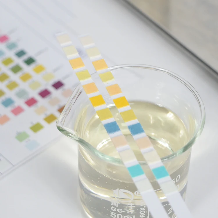 12 parameters Pet Urinalysis Test Strips, Ketone Protein Glucose Diagnostic Animal Urine testing Dipstick