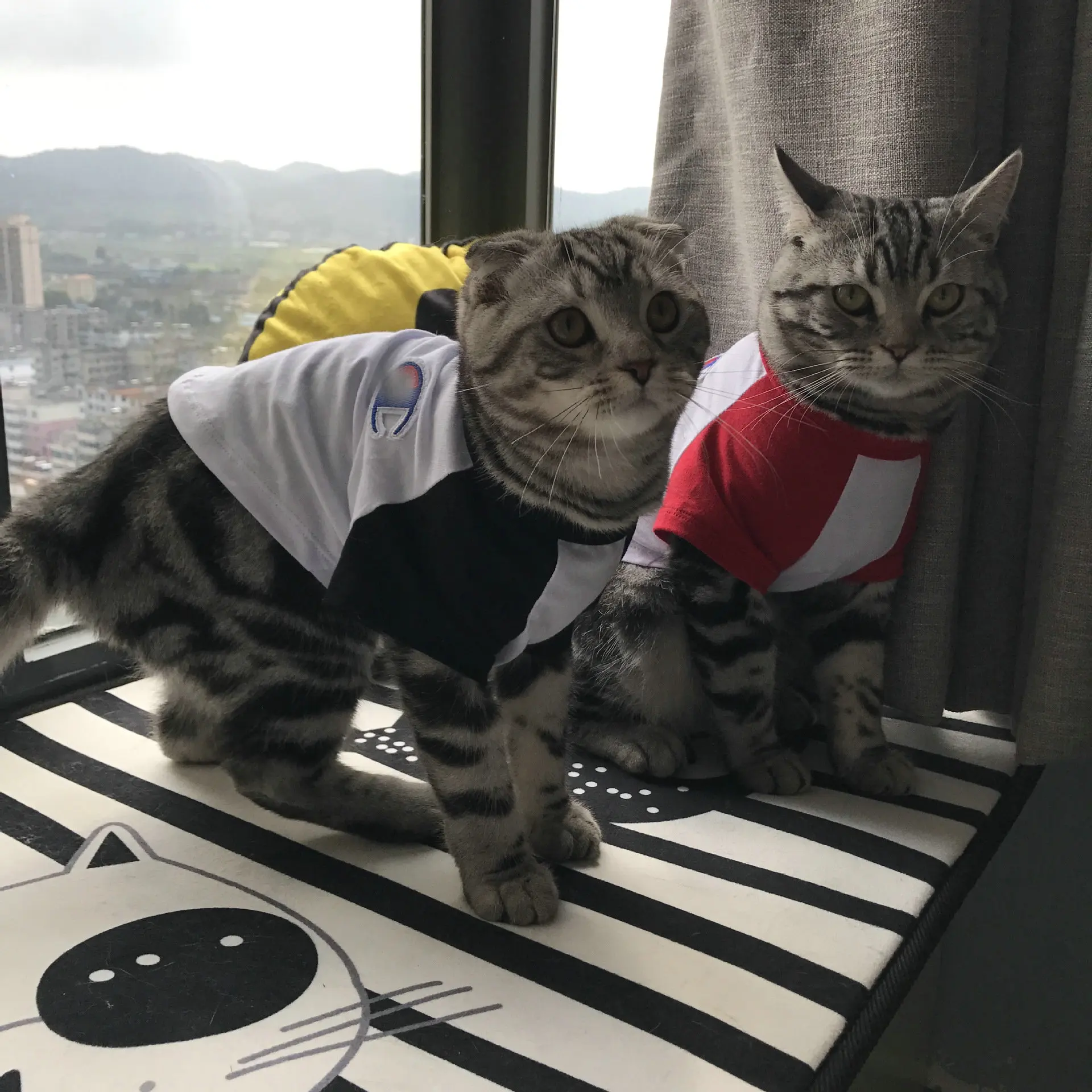 JXANRY  Summer Dog Shirt New Style White Fashion Pet Clothes Popular Luxury Pet Cool Wearing Cat Coat