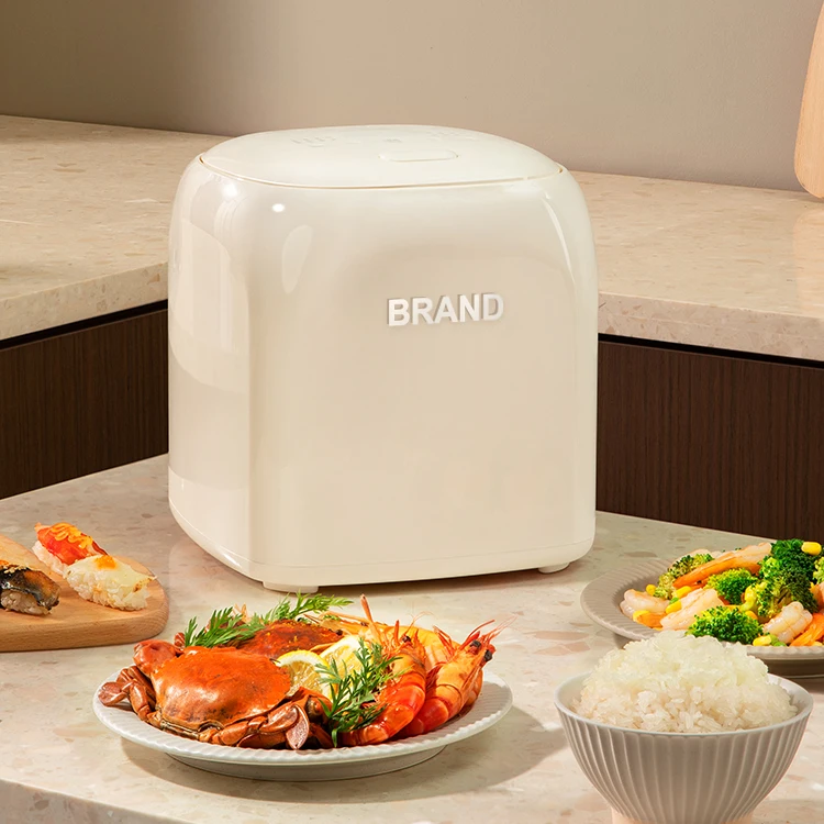 Multifunction 2L Mini Electric Rice Cooker Automatic Household Kitchen Cooker Small Rice Cooker