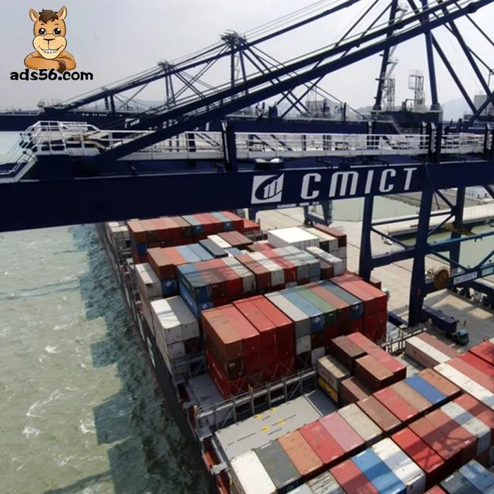 Silicone oil from China to South Africa/Morocco/El Salvador by sea LCL