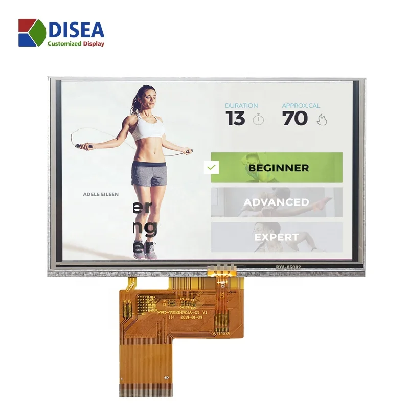 5.0 inch IPS tft lcd display panel 800x480 with resistive touch screen