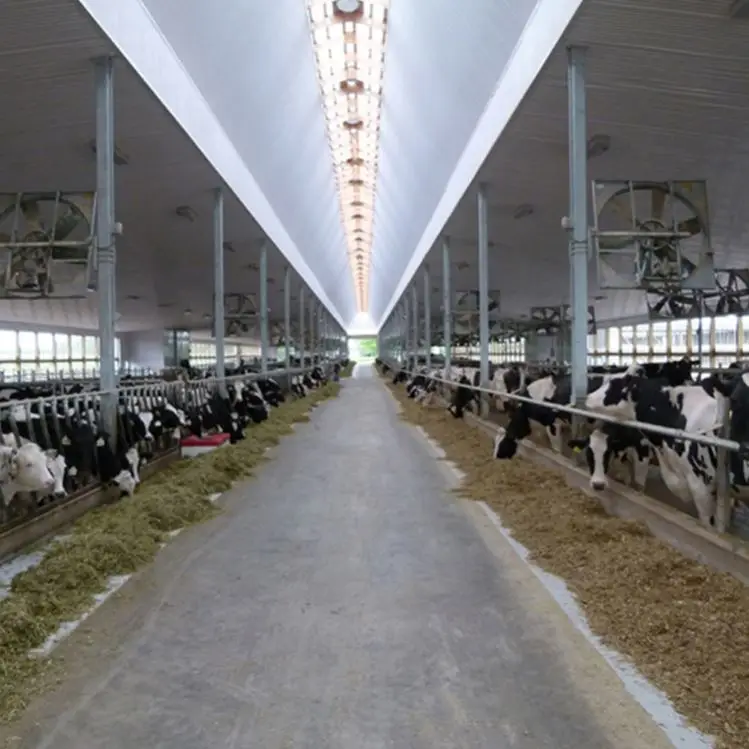 Cheap Custom Prefabricated Prefab Assemble Steel Poultry Barns House Shed For Sale