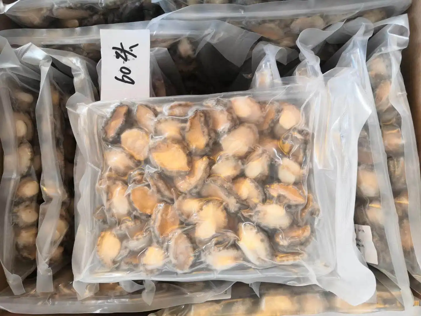 Wholesale  In With Shell Abalone Haliotis In Shells