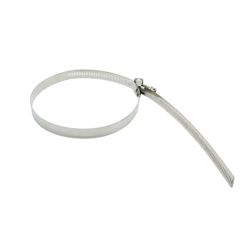 Stainless Steel Hose Post Pipe Clamp Stainless Steel Hoop Fastener Hoop Fastening Retractor For Pole Hose Clamp