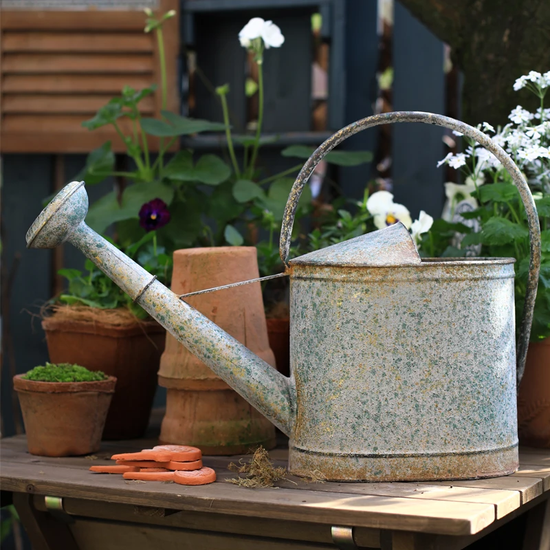 Plant Watering Can Portable Water Tank Garden Waterer Gardening Tools Steel Designs Home Garden