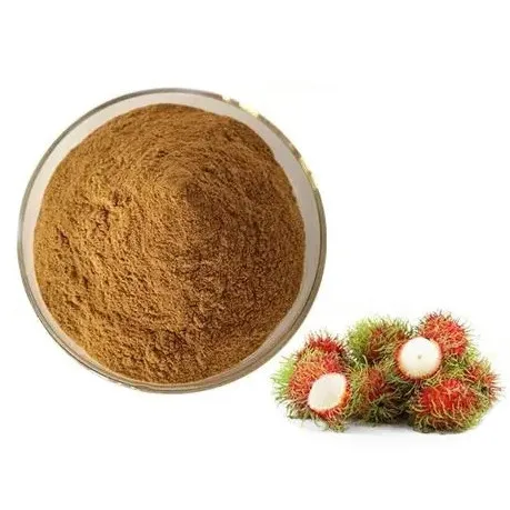 Natural 100% Pure Rambutan Fruit Rambutan Powder Rambutan Extract