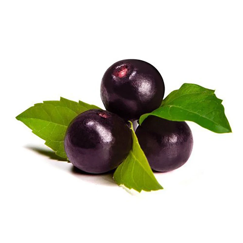Factory direct commercial Acai berry extract for sale