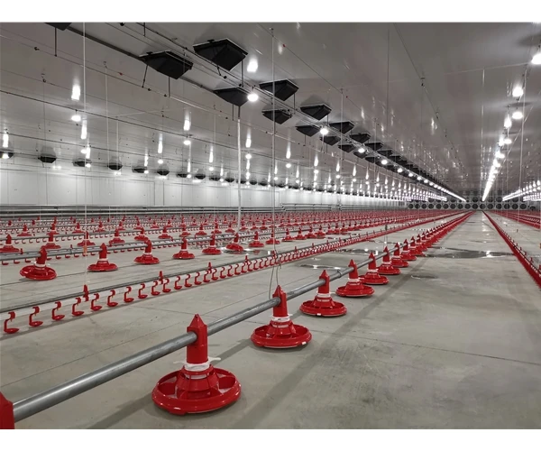 Broiler Water Drinking Feeding Line Automatic Breeding Equipment