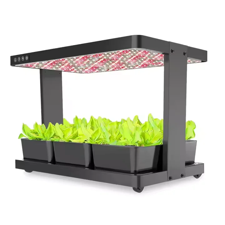 Kitchen Hydroponics Grow Kit Smart Garden Hydroponic With 2 Layers