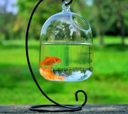 Подвесной стеклянный аквариум, прозрачная стеклянная бутылка для рыбы, украшение для дома, аквариум