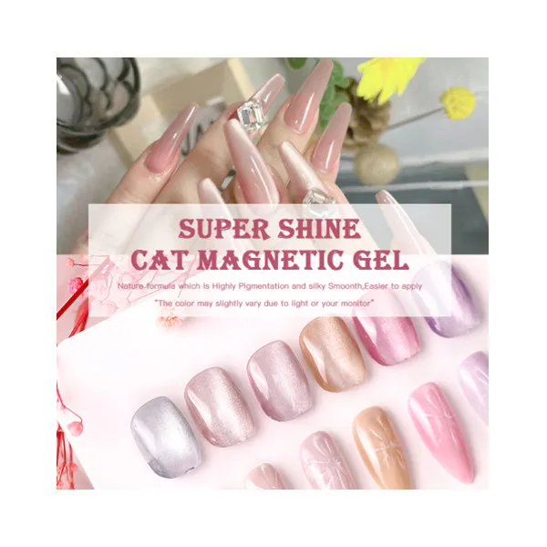 HS uv nail polish Private Label magnetic Ceramic cat eye gel kilo package 9 Colors Uv Led cat Eye Gel Nail Polish