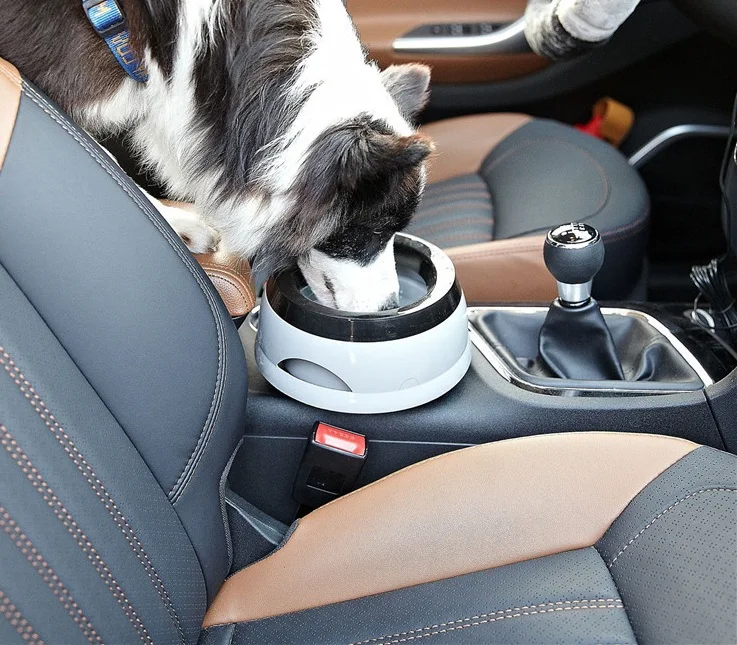 Dog Water Drink Pet Bottle Cat Drinker Plastic Pink Mug Drinking Game Pigeon Bottle Drinkers Blue Luxury Water bottle