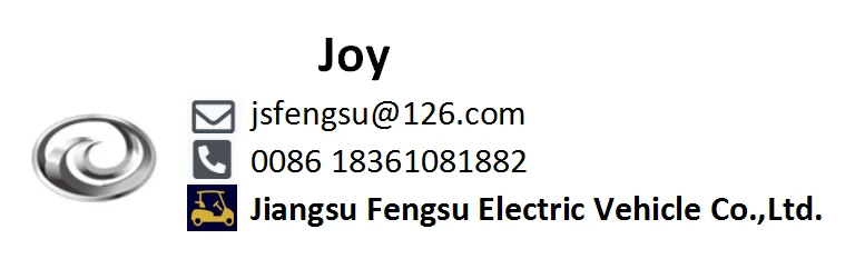 4 seats mini electric personal transport vehicle