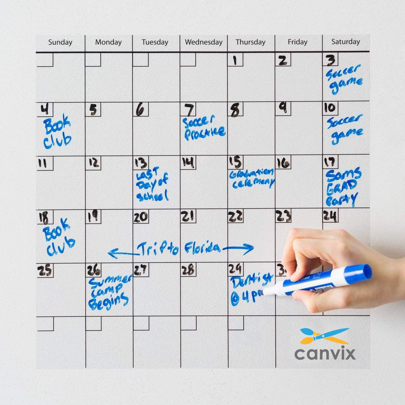 HOMIDEK PET Whiteboard Sticker Planner Board Dry Erase Calendar Whiteboard