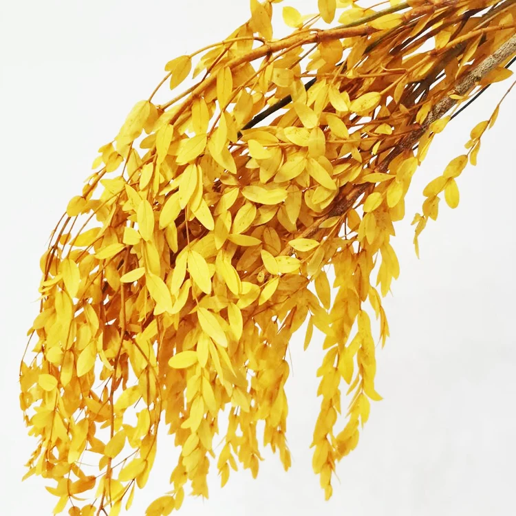 Summer Flora  hot sale new product long lasting Greenery Hanging Eucalyptus leaves preserved plants