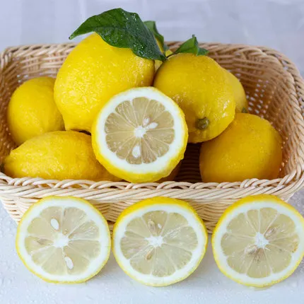 
Wholesale fresh lemon fruits can be exported from China. 