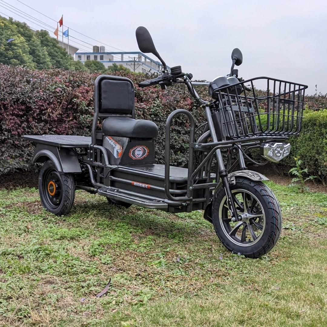 Factory Price Adult 3 Wheel Electric Delivery Scooter 1000W 72v50ah Long Range Cargo Electric Tricycle