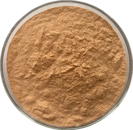 High quality pure natural Onion seeds extract Onion seeds powder